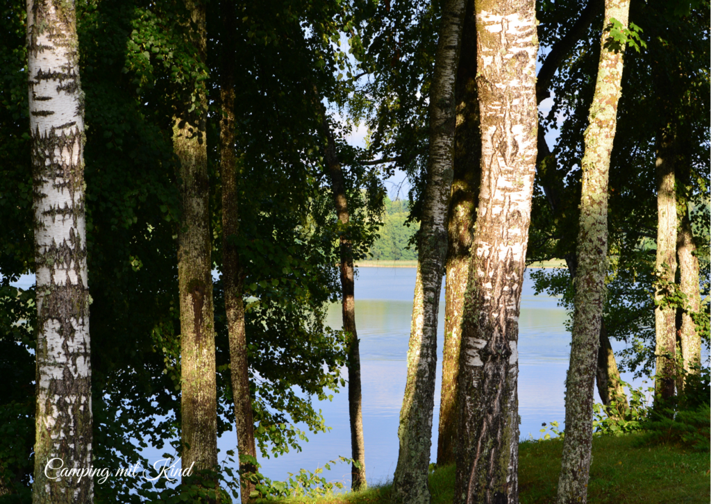 Zwischen Bäumen befindet sich ein See