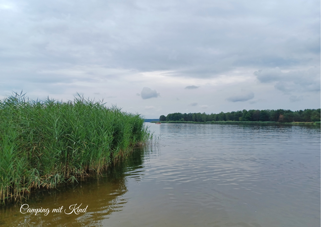 Ein See mit Schilf