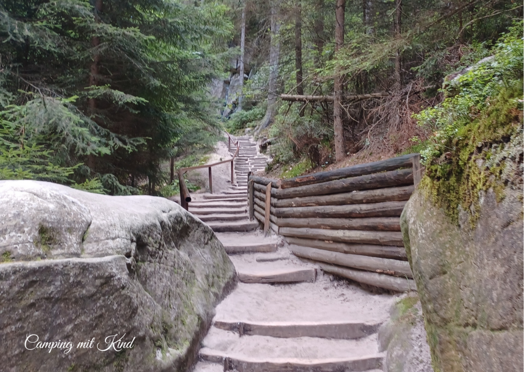 Weg durch den Wald